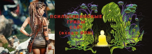 ALPHA PVP Алексеевка