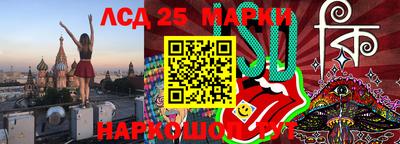 спиды Бердск