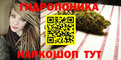 спиды Бердск