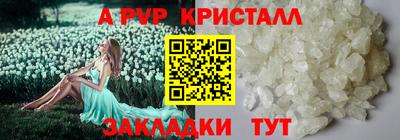 спиды Бердск