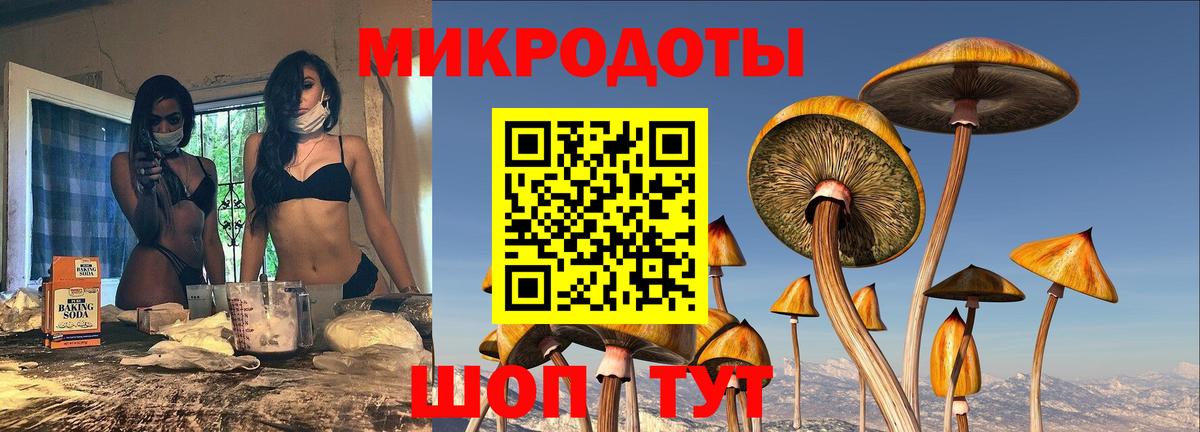 Галлюциногенные грибы GOLDEN TEACHER Кореновск